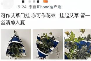江南app官方网站下载安卓手机截图2